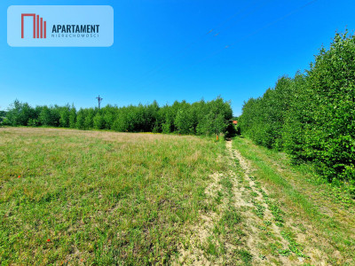 Tylko u Nas Działka wśród brzózek Piękne miejsce - powiat świecki  -
Kujawsko-Pomorskie Zdjęcie nr 4