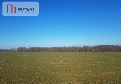 DZIAŁKA BUDOWLANA tereny w okolicy Natura 2000 - Zawada  -
Kujawsko-Pomorskie Zdjęcie nr 2