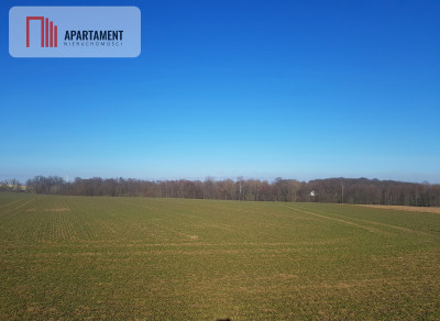 DZIAŁKA BUDOWLANA tereny w okolicy Natura 2000 - Zawada  -
Kujawsko-Pomorskie Zdjęcie nr 3