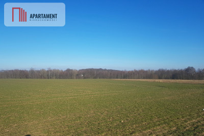 DZIAŁKA BUDOWLANA tereny w okolicy Natura 2000 - Zawada  -
Kujawsko-Pomorskie Zdjęcie nr 4