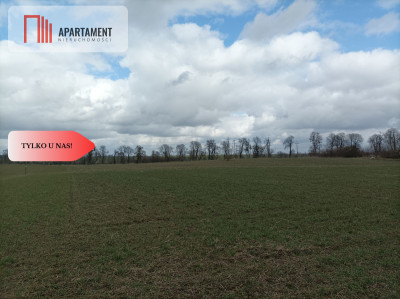 Działki na wsi- cisza i spokój - Brzyskorzystew  -
Kujawsko-Pomorskie Zdjęcie nr 5