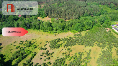 Tylko u Nas Działka z linią brzegową Prusiny - powiat świecki  -
Kujawsko-Pomorskie Zdjęcie nr 5