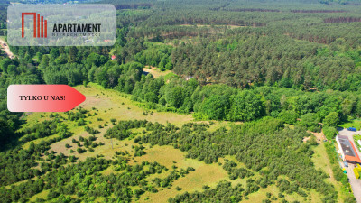 Tylko u Nas Działka z linią brzegową Prusiny - powiat świecki  -
Kujawsko-Pomorskie Zdjęcie nr 6