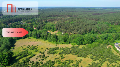 Tylko u Nas Działka z linią brzegową Prusiny - powiat świecki  -
Kujawsko-Pomorskie Zdjęcie nr 7