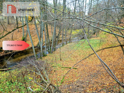 Tylko u Nas Działka z linią brzegową Prusiny - powiat świecki  -
Kujawsko-Pomorskie Zdjęcie nr 9