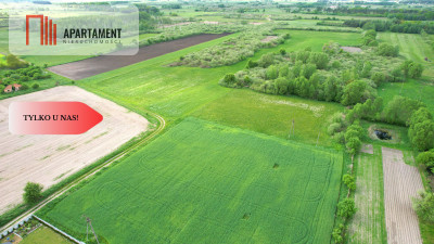 Super cena działka z WZ Kowalewo Szubin - Kowalewo  -
Kujawsko-Pomorskie Zdjęcie nr 3