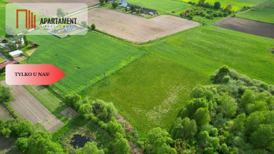 Super cena działka z WZ Kowalewo Szubin - Kowalewo  -
Kujawsko-Pomorskie Zdjęcie nr 6