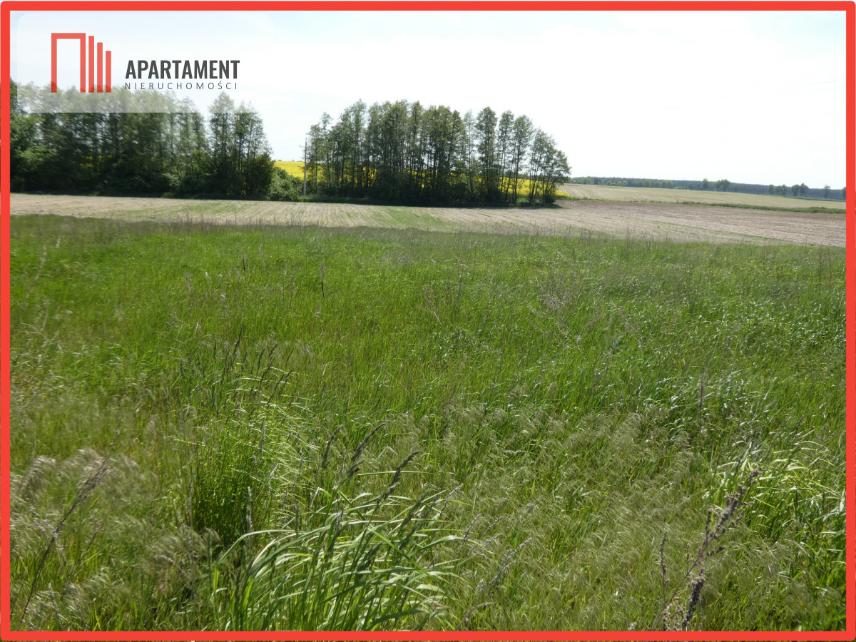 Działki budowlane z warunkami zabudowy - Rogowo  -
Kujawsko-Pomorskie Zdjęcie nr 1