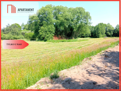 Dzialka z możliwością zabudowy na WZ - Czarne Błoto  - Kujawsko-Pomorskie