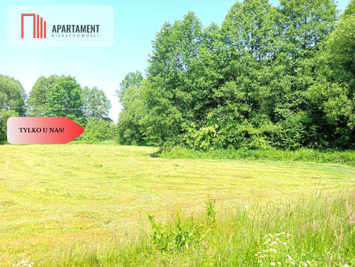 Dzialka z możliwością zabudowy na WZ - Czarne Błoto  -
Kujawsko-Pomorskie Zdjęcie nr 5