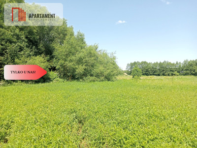 Dzialka z możliwością zabudowy na WZ - Czarne Błoto  -
Kujawsko-Pomorskie Zdjęcie nr 6