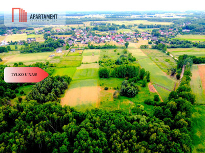 Dla Dewelopera Działka przy lesie k Trzebnicy - Skoroszów  -
Dolnośląskie Zdjęcie nr 7
