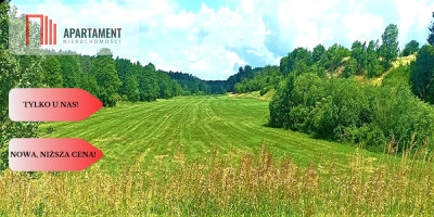 TYLKO U NAS - PAWŁÓWEK 18ha LAS CISZA SPOKÓJ - Pawłówek  -
Kujawsko-Pomorskie Zdjęcie nr 7