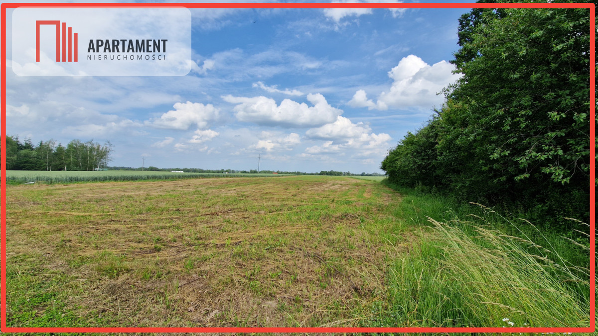 Działki w Wiewiórczynie - Wiewiórczyn  -
Kujawsko-Pomorskie Zdjęcie nr 1