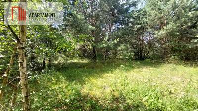 Piękne działki - Skórka - powiat złotowski  -
Wielkopolskie Zdjęcie nr 4