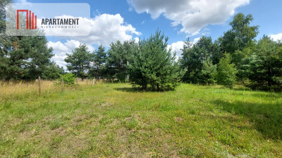 Piękne działki - Skórka - powiat złotowski  -
Wielkopolskie Zdjęcie nr 6