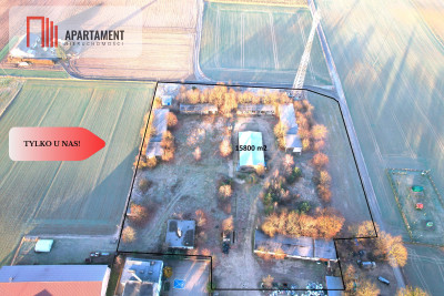 TYLKO U NAS DZIAŁKA PRODUKCYJNO-INWESTYCYJNA - Lubiewo  -
Kujawsko-Pomorskie Zdjęcie nr 2