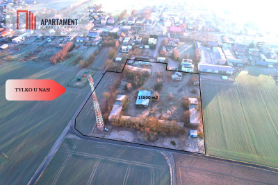 TYLKO U NAS DZIAŁKA PRODUKCYJNO-INWESTYCYJNA - Lubiewo  -
Kujawsko-Pomorskie Zdjęcie nr 4