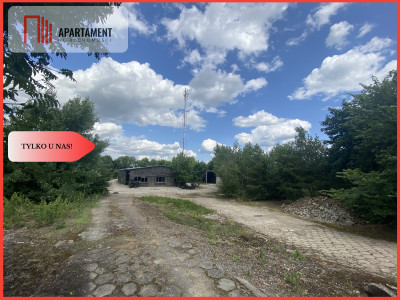 TYLKO U NAS DZIAŁKA PRODUKCYJNO-INWESTYCYJNA - Lubiewo  -
Kujawsko-Pomorskie Zdjęcie nr 5