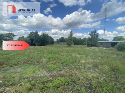 TYLKO U NAS DZIAŁKA PRODUKCYJNO-INWESTYCYJNA - Lubiewo  -
Kujawsko-Pomorskie Zdjęcie nr 8