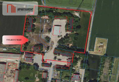 TYLKO U NAS DZIAŁKA PRODUKCYJNO-INWESTYCYJNA - Lubiewo  -
Kujawsko-Pomorskie Zdjęcie nr 9