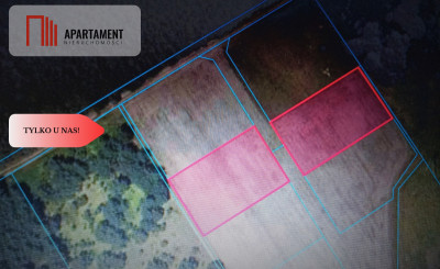 TYLKO U NAS  PIĘKNA OTULONA LASEM I CSZĄ - Lubiewice  -
Kujawsko-Pomorskie Zdjęcie nr 2