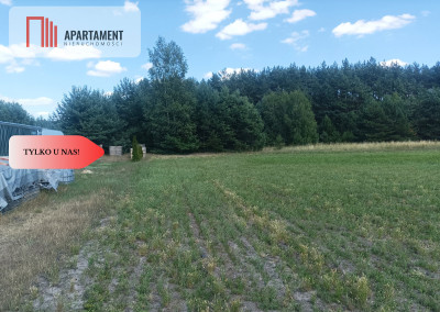 TYLKO U NAS  PIĘKNA OTULONA LASEM I CSZĄ - Lubiewice  -
Kujawsko-Pomorskie Zdjęcie nr 8