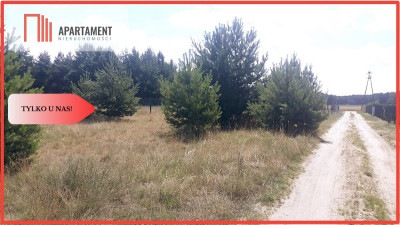 Tereny rekreacyjne - Annowo  - Kujawsko-Pomorskie