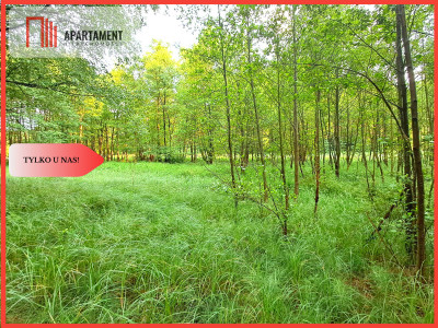 Tylko u nas Działka z brzegiem rzeki - Szumiąca  - Kujawsko-Pomorskie