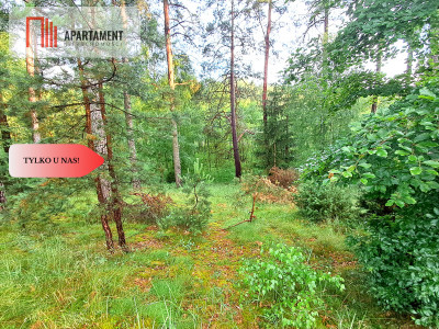 Tylko u nas Działka z brzegiem rzeki - Szumiąca  -
Kujawsko-Pomorskie Zdjęcie nr 6