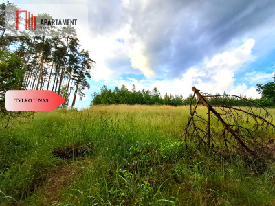 Tylko u nas Działka z brzegiem rzeki - Szumiąca  -
Kujawsko-Pomorskie Zdjęcie nr 7