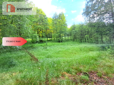 Tylko u nas Działka z brzegiem rzeki - Szumiąca  -
Kujawsko-Pomorskie Zdjęcie nr 8