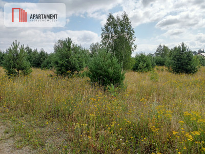 Stronno działka 993 m2 z WZ cisza spokój - Stronno  -
Kujawsko-Pomorskie Zdjęcie nr 10