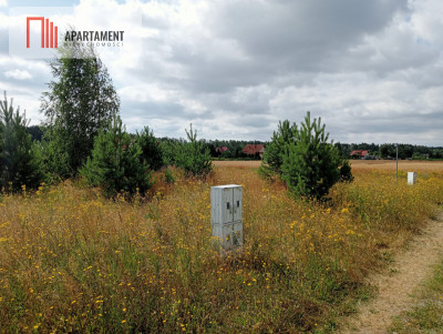 Stronno działka 993 m2 z WZ cisza spokój - Stronno  -
Kujawsko-Pomorskie Zdjęcie nr 12