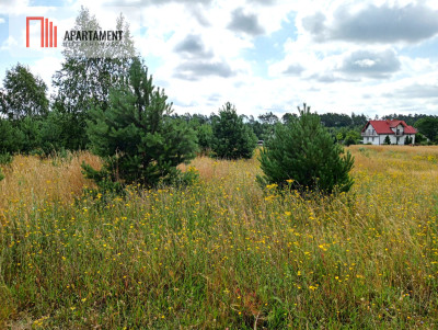 Stronno działka 993 m2 z WZ cisza spokój - Stronno  -
Kujawsko-Pomorskie Zdjęcie nr 3
