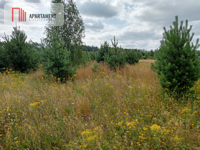 Stronno działka 993 m2 z WZ cisza spokój - Stronno  -
Kujawsko-Pomorskie Zdjęcie nr 4