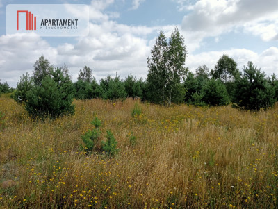 Stronno działka 993 m2 z WZ cisza spokój - Stronno  -
Kujawsko-Pomorskie Zdjęcie nr 6