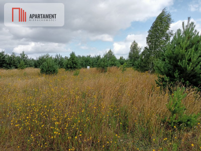 Stronno działka 993 m2 z WZ cisza spokój - Stronno  -
Kujawsko-Pomorskie Zdjęcie nr 7