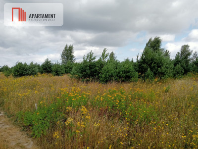 Stronno działka 993 m2 z WZ cisza spokój - Stronno  -
Kujawsko-Pomorskie Zdjęcie nr 9