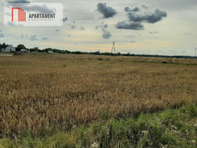 Okazja Ostatnia działka budowlana w niskiej cenie - Rogowo  -
Kujawsko-Pomorskie Zdjęcie nr 2