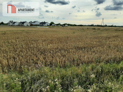 Okazja Ostatnia działka budowlana w niskiej cenie - Rogowo  -
Kujawsko-Pomorskie Zdjęcie nr 3