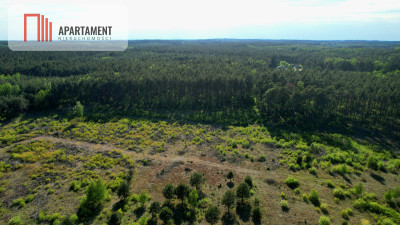 Godzimierz działka z warunkami zabudowy - Godzimierz  -
Kujawsko-Pomorskie Zdjęcie nr 9