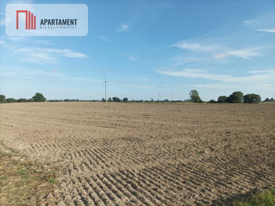 Działki w Kopczynie - Kopczyn  -
Kujawsko-Pomorskie Zdjęcie nr 2