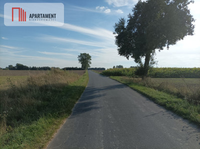 Działki w Kopczynie - Kopczyn  -
Kujawsko-Pomorskie Zdjęcie nr 4