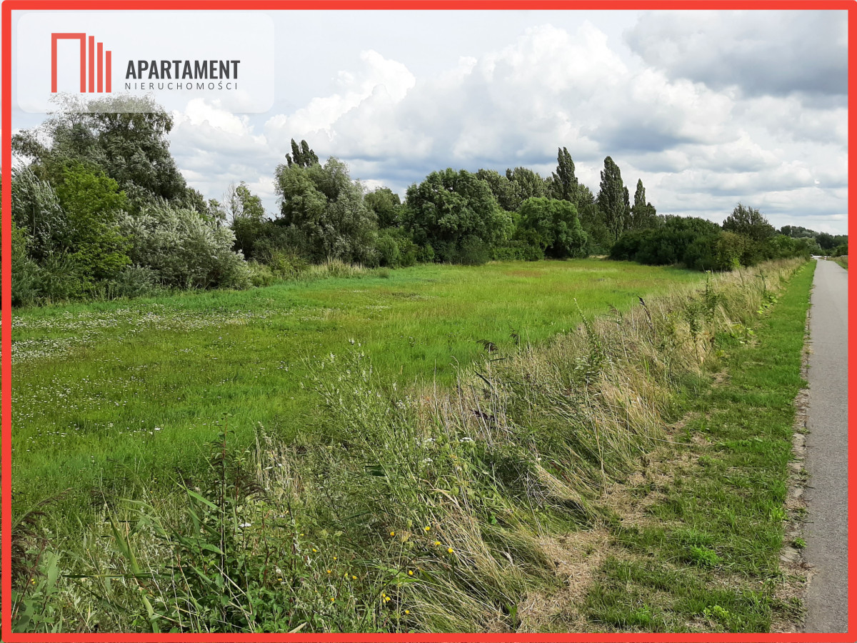 Działka w Żninie blisko jeziora Dużego - Żnin  -
Kujawsko-Pomorskie Zdjęcie nr 1