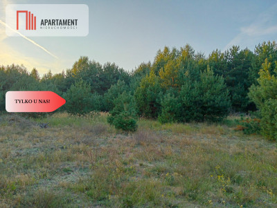 Bory Tucholskie  działka 1195 mkw pod budowę domu - Branica  -
Kujawsko-Pomorskie Zdjęcie nr 10