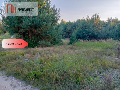 Bory Tucholskie  działka 1195 mkw pod budowę domu - Branica  -
Kujawsko-Pomorskie Zdjęcie nr 4