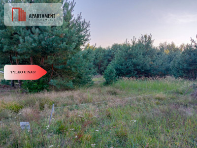 Bory Tucholskie  działka 1195 mkw pod budowę domu - Branica  -
Kujawsko-Pomorskie Zdjęcie nr 9