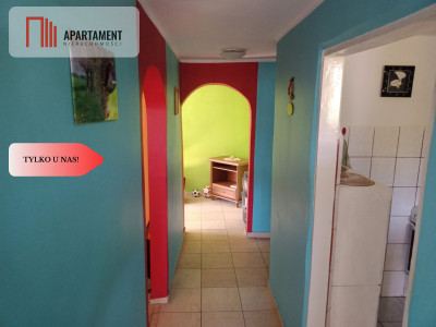 Tylo u nas ROD Wolice - Wolice  -
Kujawsko-Pomorskie Zdjęcie nr 7