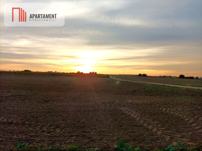 Działka w spokojnej okolicy - Komratowo  -
Kujawsko-Pomorskie Zdjęcie nr 2